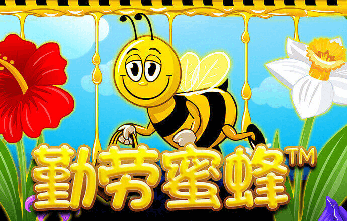 k体育是软件是正规平台吗